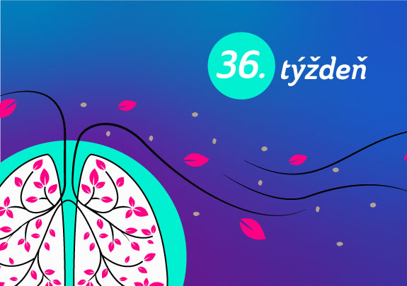 Peľová situácia v Bratislave od 2.9. do 8.9.2019 (36.týždeň)